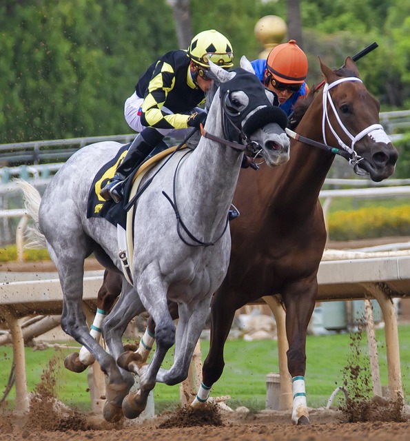 是世俱杯奖 是世俱杯奖